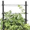Gardener's Revolution® Classic Tomato Extension 2 Gardener's Revolution® Classic Tomato Extension -Gardener's supply company 8594367 0047 001E gardeners revolution classic tomato cage extension tif