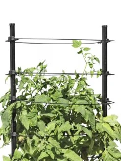Gardener's RevolutionĀ® Classic Tomato Extension