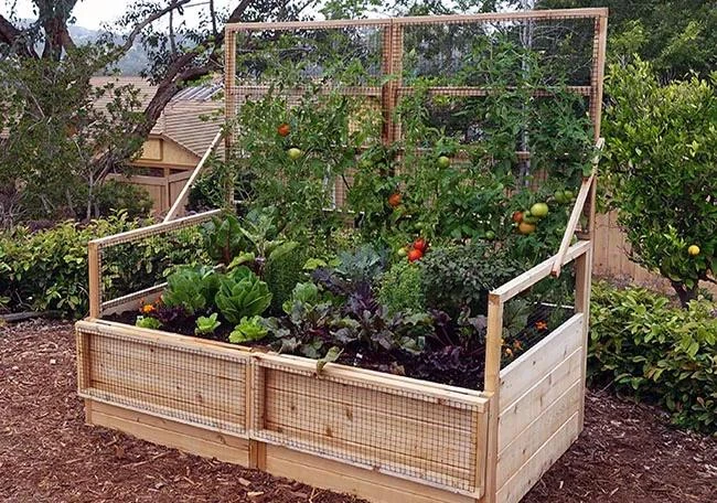 Garden In A Box With Trellis/Lid Option, 3' X 6' 4 Garden In A Box With Trellis/Lid Option, 3' X 6' - Image 2