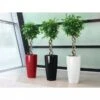 Lechuza® Rondo Self-Watering Planters 1 Lechuza® Rondo Self-Watering Planters -Gardener's supply company 8594586 01V tif