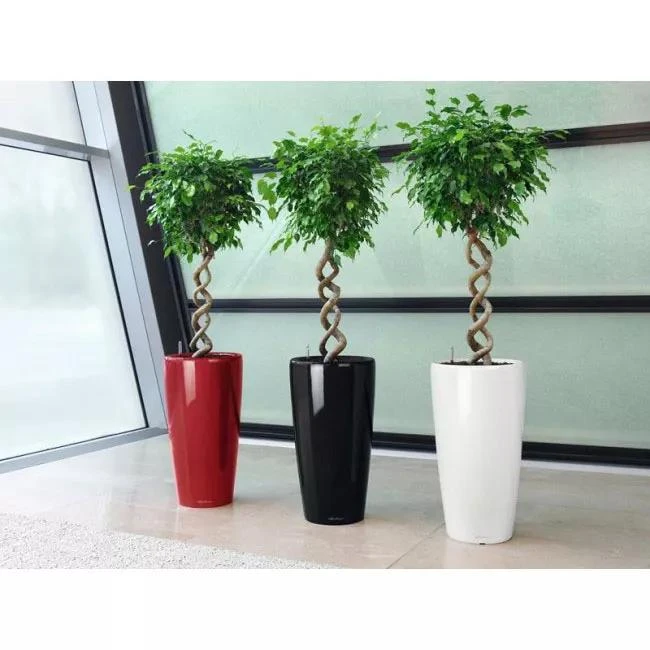 Lechuza® Rondo Self-Watering Planters 3 Lechuza® Rondo Self-Watering Planters