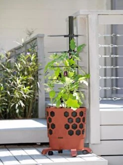 Gardener's Revolution® Tomato Planter 9 Gardener's Revolution® Tomato Planter -Gardener's supply company 8594743 2618 tif