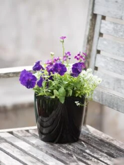 Viva Round Self-Watering Planter, 7" Diameter -Gardener's supply company 8595222 1140 tif