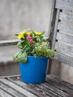 Viva Round Self-Watering Planter, 7" Diameter -Gardener's supply company 8595222 1143 tif