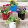 Viva Round Self-Watering Planter, 7" Diameter -Gardener's supply company 8595222 5302 tif