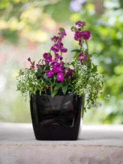 Viva Square Self-Watering Planter, 7" Diameter -Gardener's supply company 8595223 1107 tif