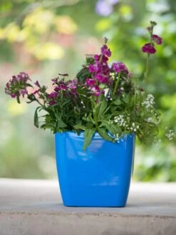 Viva Square Self-Watering Planter, 7" Diameter -Gardener's supply company 8595223 1113 tif