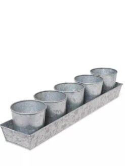 Galvanized Herb Planters With Rectangular Tray -Gardener's supply company 8595903 3924 tif