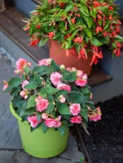 Eezy Gro Self-Watering Planters -Gardener's supply company 8596427 0034 tif