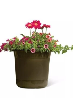 Eezy Gro Self-Watering Planters -Gardener's supply company 8596427 108 tif