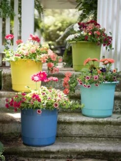 Eezy Gro Self-Watering Planters -Gardener's supply company 8596427 8090 tif