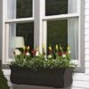 Valencia Window Box, 3' -Gardener's supply company 8596436 7496 tif