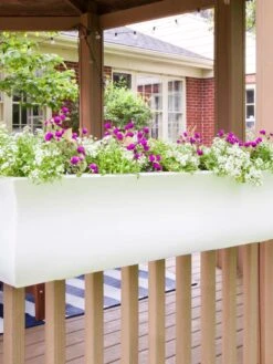 Valencia Window Box, 4' -Gardener's supply company 8596437 006V tif