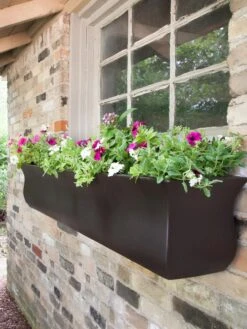 Valencia Window Box, 4' -Gardener's supply company 8596437 08V tif