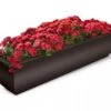 Valencia Window Box, 4' 1 Valencia Window Box, 4' -Gardener's supply company 8596437 10V tif