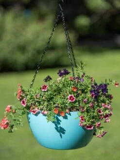 Viva Self-Watering Hanging Basket, 14" Diameter -Gardener's supply company 8596442 0859 tif
