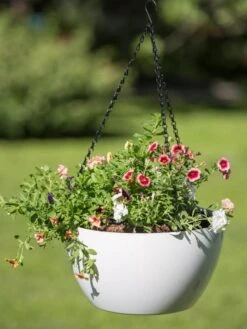 Viva Self-Watering Hanging Basket, 14" Diameter -Gardener's supply company 8596442 0864 tif