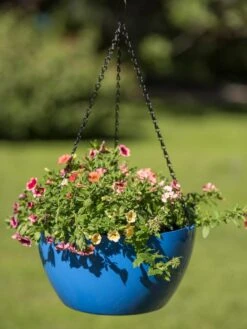 Viva Self-Watering Hanging Basket, 14" Diameter -Gardener's supply company 8596442 0876 tif
