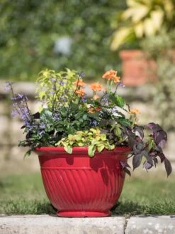 Mazzano Self-Watering Planters 13 Mazzano Self-Watering Planters -Gardener's supply company 8596564 4883 tif
