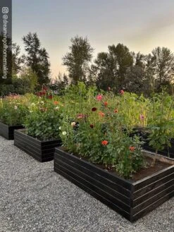 Front Page -Gardener's supply company 8596700 02IN