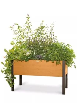 Eco-Stained Elevated Planter Box, 2'x4' 17 Eco-Stained Elevated Planter Box, 2'x4' -Gardener's supply company 8596759 101 tif