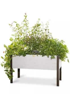Eco-Stained Elevated Planter Box, 2'x4' 15 Eco-Stained Elevated Planter Box, 2'x4' -Gardener's supply company 8596759 3837 tif