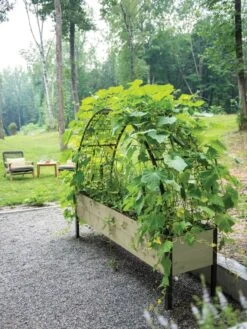 Self-Watering Elevated Planter Box, 2' X 8' -Gardener's supply company 8596760 0046 tif