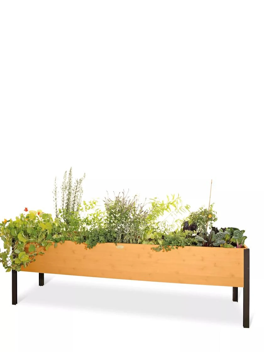 Eco-Stained Elevated Planter Box, 2'x8' 10 Eco-Stained Elevated Planter Box, 2'x8' - Image 8