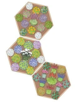 Pollinator Garden Bed -Gardener's supply company 8597000 Hummingbird Plan tif