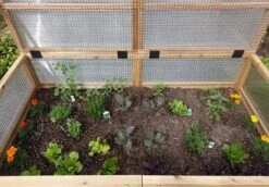 Garden In A Box Cedar Raised Bed With Greenhouse, 3' X 6' -Gardener's supply company 8597082 03V tif