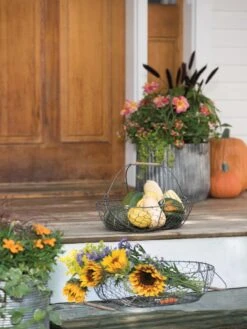 Galvanized Rim Planters -Gardener's supply company 8597379 1625 tif