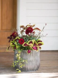 Galvanized Ribbed Planters -Gardener's supply company 8597435 1693 tif