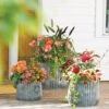 Galvanized Ribbed Planters -Gardener's supply company 8597436 1680 tif