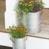 Galvanized Rim Planters -Gardener's supply company 8597442 1700 tif
