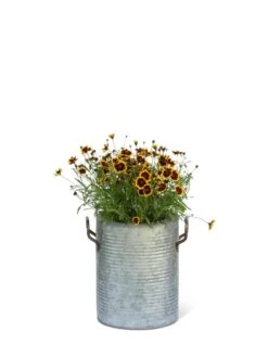 Galvanized Rim Planters -Gardener's supply company 8597442 1705 tif