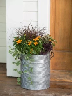 Galvanized Rim Planters -Gardener's supply company 8597443 1708 tif
