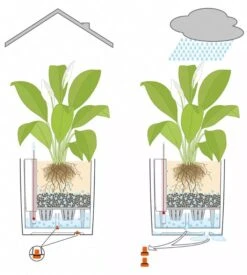 Lechuza® Cube Premium Planters 11 Lechuza® Cube Premium Planters -Gardener's supply company 8597506 05V tif