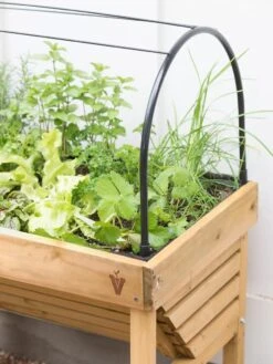 VegTrug® Mini Wallhugger Planter With Cover -Gardener's supply company 8598339 4004 tif