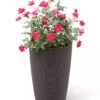 Weave Self-Watering Round Tall Planter, 12-1/2" -Gardener's supply company 8598371 3000 tif