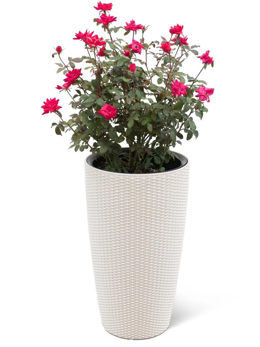 Weave Self-Watering Round Tall Planter, 12-1/2" 4 Weave Self-Watering Round Tall Planter, 12-1/2" - Image 2