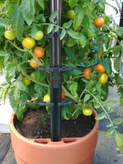 Gardener’s Victory Self-Watering Planter With Support System -Gardener's supply company 8598384 01EMP tif