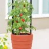 Gardener’s Victory Self-Watering Planter With Support System -Gardener's supply company 8598384 6012 tif