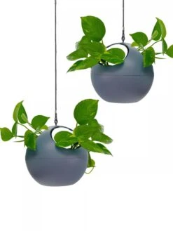 Exaco Euro Hanging Planters, Set Of 2 -Gardener's supply company 8599179 04V tif