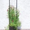 Gardener’s Victory Self-Watering Planter With Vine Trellis -Gardener's supply company 8600177 05490 tif