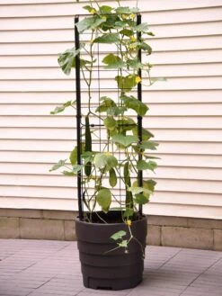Gardener’s Victory Self-Watering Planter With Vine Trellis -Gardener's supply company 8600177 9876 tif