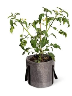 Reinforced Colorful Grow Bags 13 Reinforced Colorful Grow Bags -Gardener's supply company 8600229 0944 tif