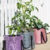 Reinforced Colorful Grow Bags -Gardener's supply company 8600229 19957 tif