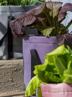 Reinforced Colorful Grow Bags 11 Reinforced Colorful Grow Bags -Gardener's supply company 8600230 20013 tif