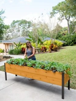 Self-Watering Eco-Stained Elevated Planter Box, 2' X 8' -Gardener's supply company 8608965 6069 tif