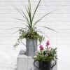 Metal Bucket Planters 1 Metal Bucket Planters -Gardener's supply company 8609086 5623 tif